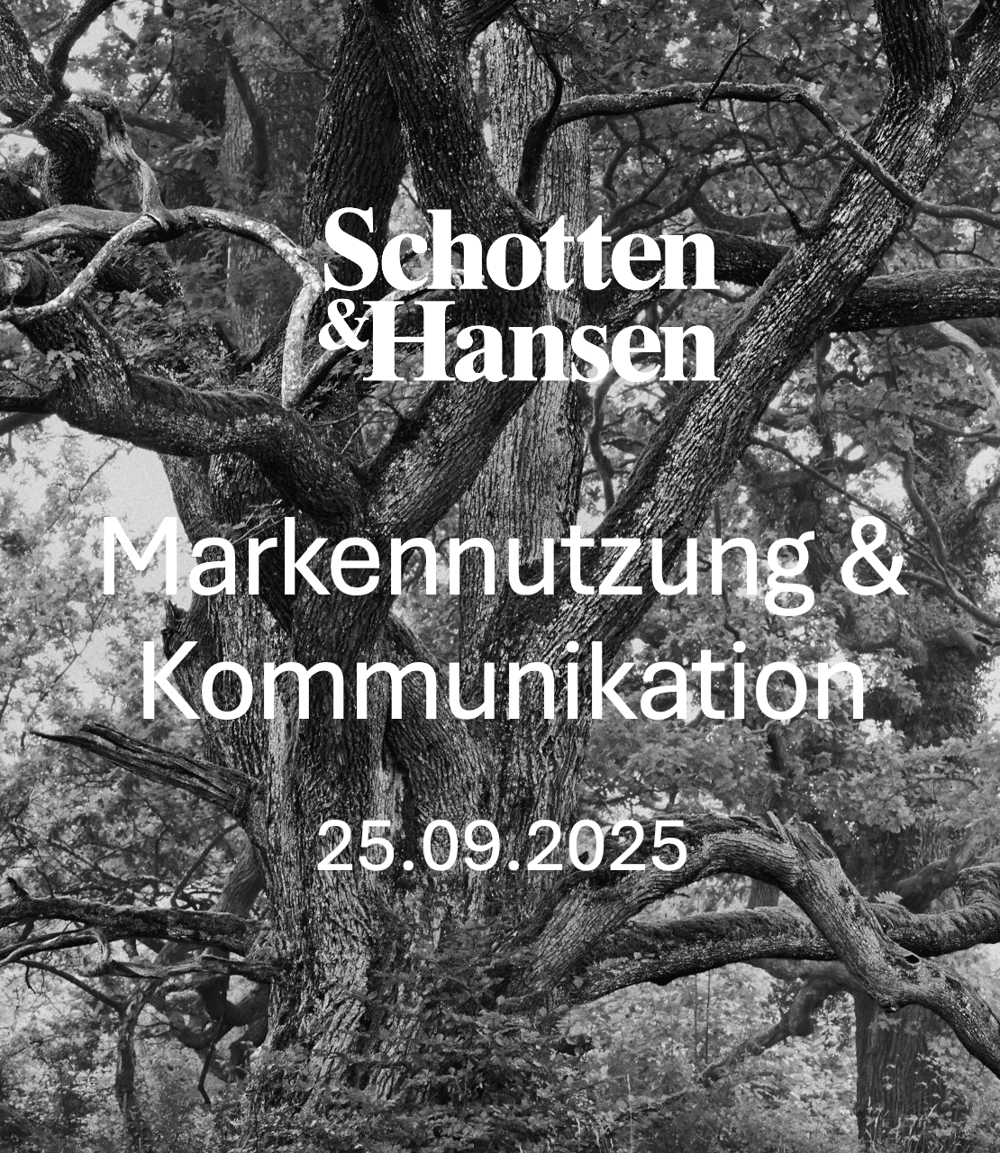 Bildschirmfoto 2025-10-20 um 13.57.30